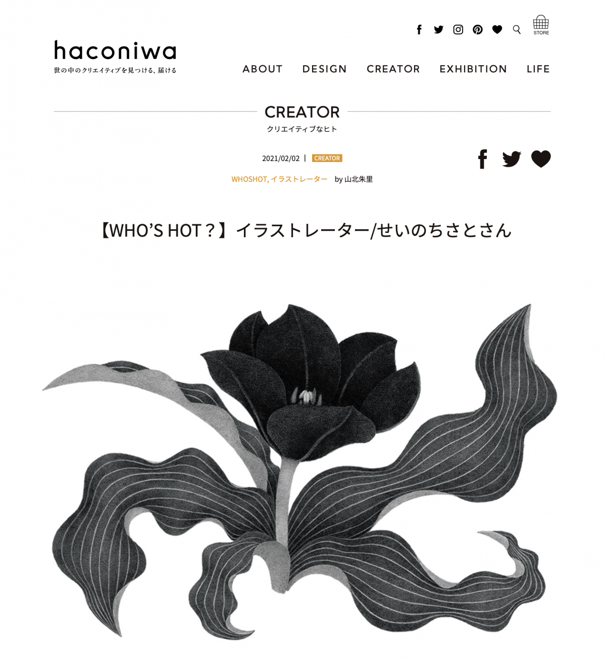 Webメディア Haconiwa 様にてご紹介いただきました イラストレーター せいのちさとのウェブサイト